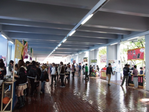 �y�f���ʐ^�P